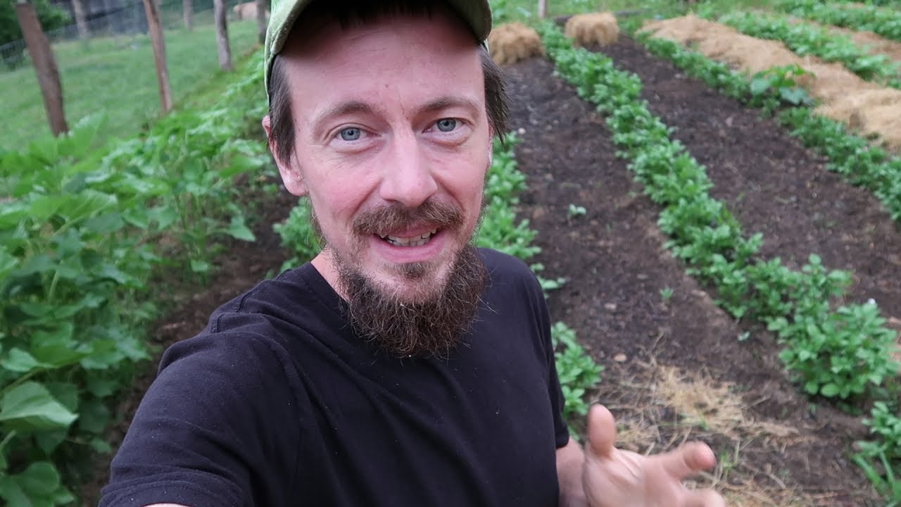 Complete Homestead Garden Tour