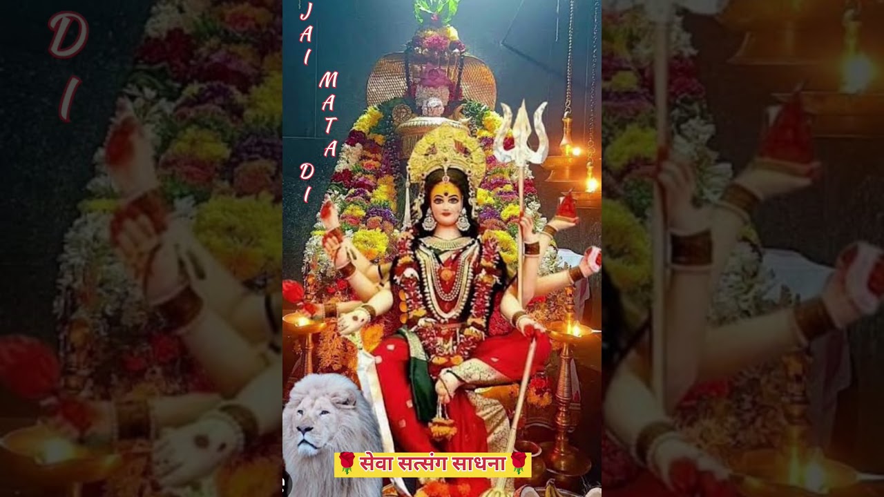 Meri Maiya D Dawara #jaimatadi #livechowki #matakibhent 🙏❤🌹🌷🙏❤🌷🌹🙏🙏❤❤🌷🌷🌷❤❤🙏🙏🙏🙏🌹🌷🌷🌷🌷🌹🌹🌹