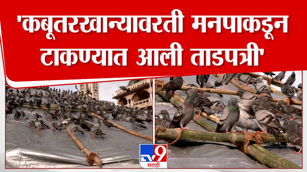 Kabutar Khana | दादरच्या कबूतरखान्यावरती मनपाकडून टाकण्यात आली ताडपत्री