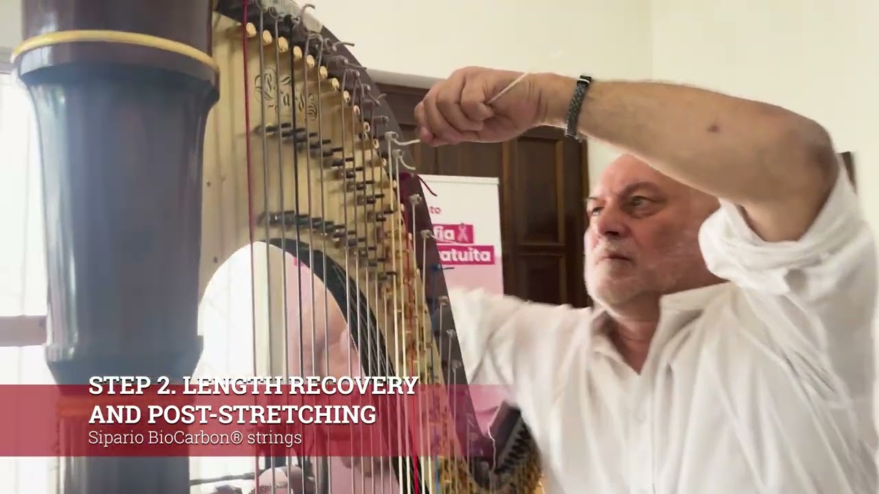How to install the Biocarbon Sipario harp Strings in order to have a fast and stable intonation