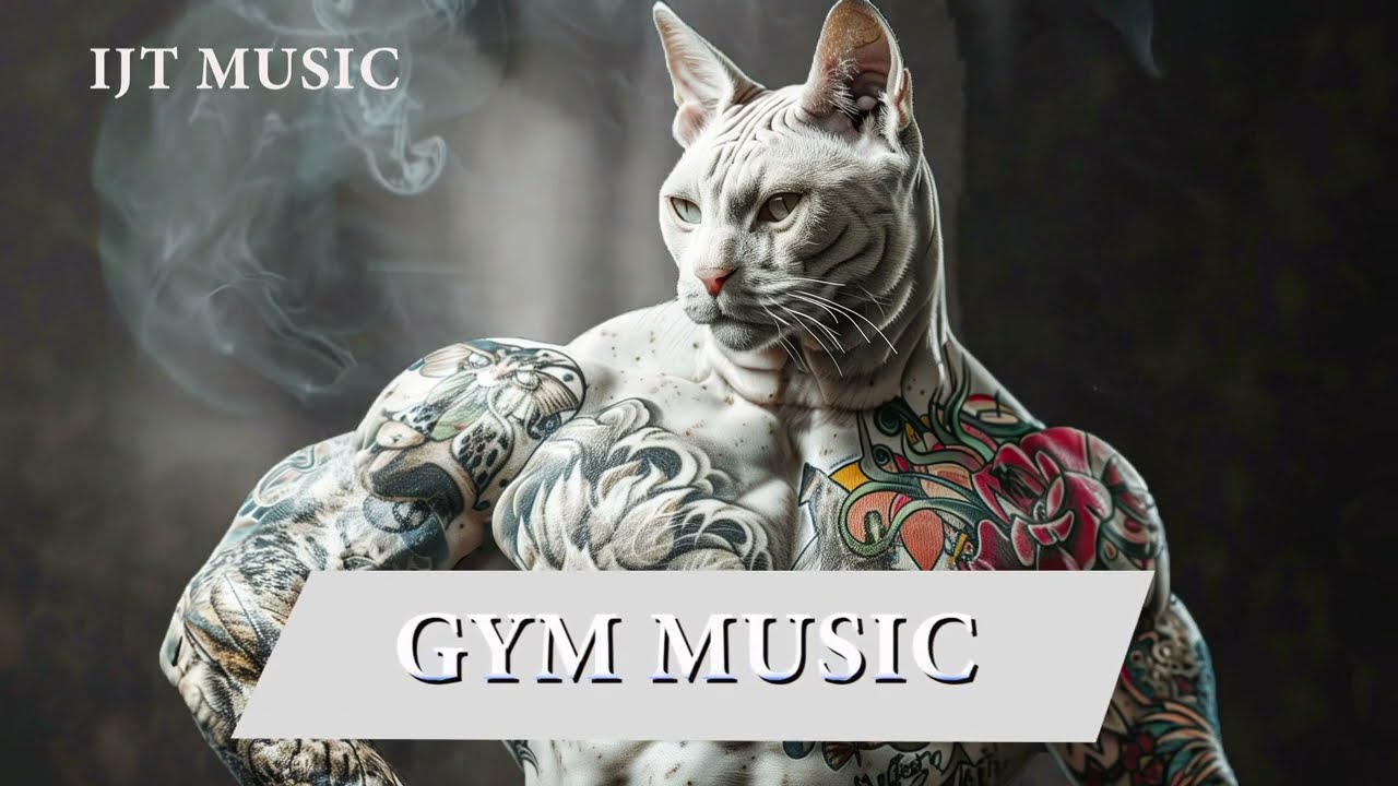 Gym Music Best Popular House Lax Mix 2024  - DJ MUSIC 2024