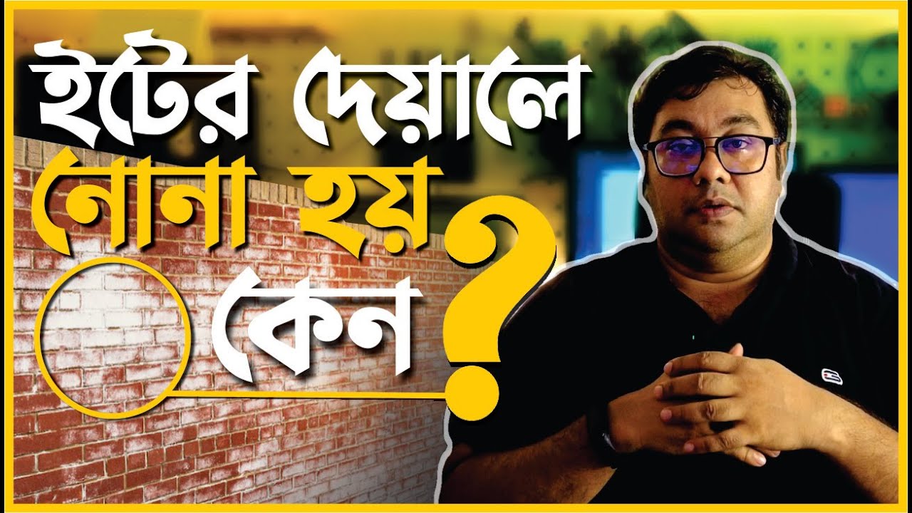 ইটের দেয়ালে নোনা আসে কেন, প্রতিকার ও নোনা প্রতিরোধের উপায় ।#efflorescence on brick wall  by Ar.Niloy