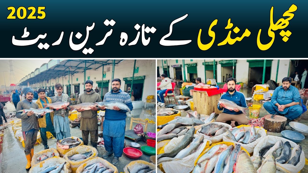 Fish Market Lahore | Machli Mandi Lahore | Fish Wholesale Market | Fish Rates Today | Hamid Ch Vlogs
