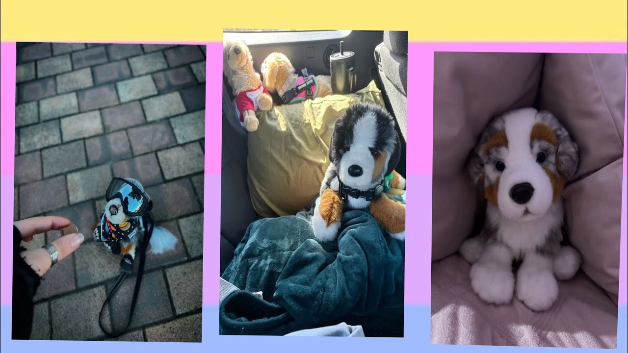 | AUSTRALIAN SHEPHERD ESSA TIKTOK COMPILATION | NONE ARE MINE | 🐾🦮💗