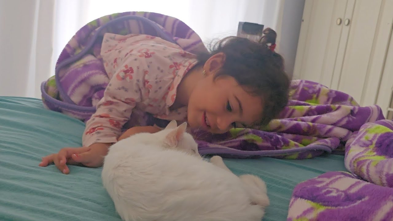 Ayla Balık istiyor / kedimiz pamuk balığı yer mi / mavi balık ve ankara kedisi / pijama partisi 
