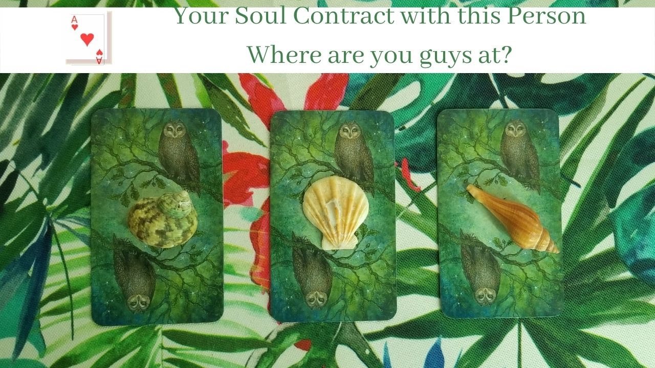 THE NATURE OF YOUR SOUL CONTRACT WITH THIS PERSON- PICK A CARD