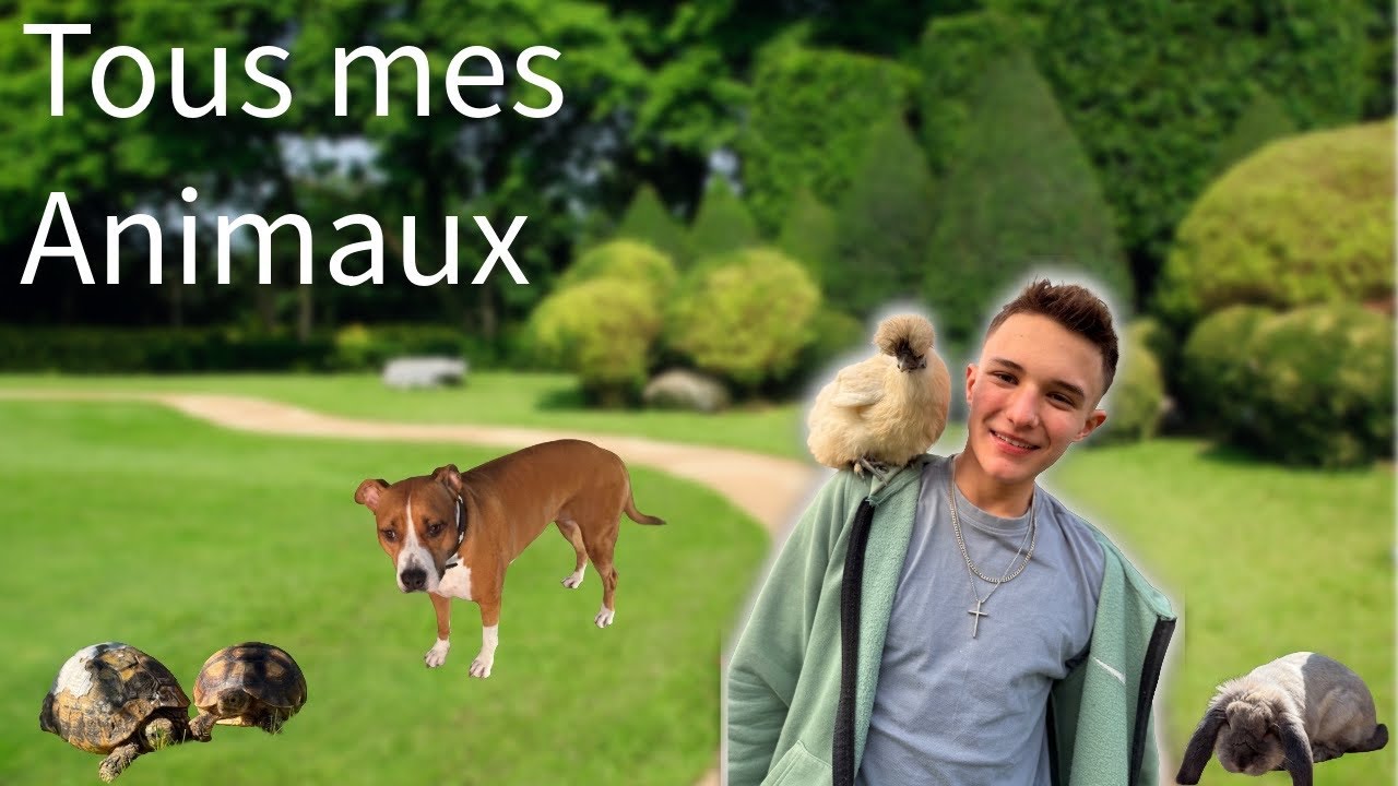 Tous mes animaux