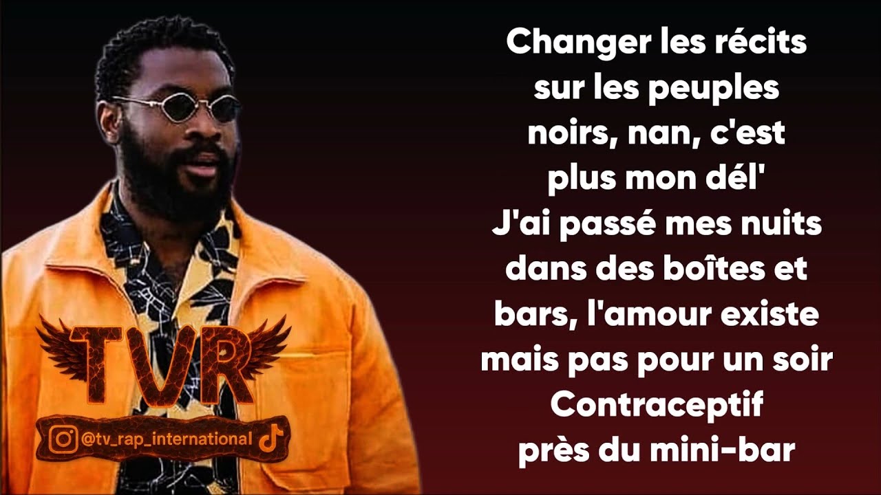 Damso - T'es mon DEL (Paroles/Lyrics)