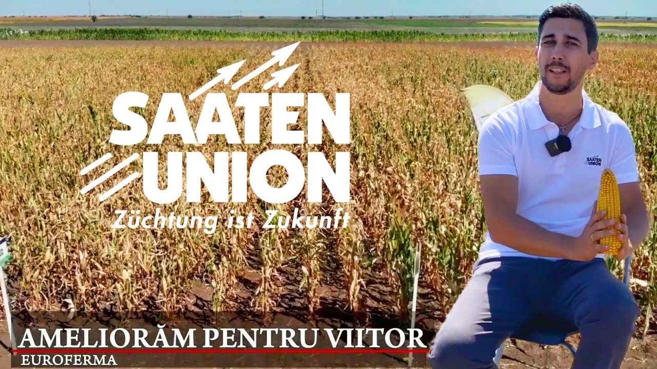 Jurnal de cultura: S20E18 Euroferma Saaten Union si fertilizare la porumb #sunflower #corn #farming