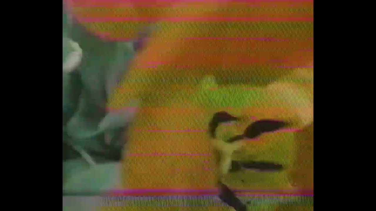 House and Garage Mix