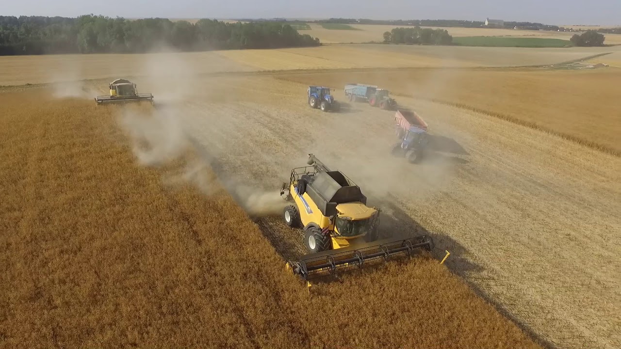 x 3 New holland CR à la moisson du colza