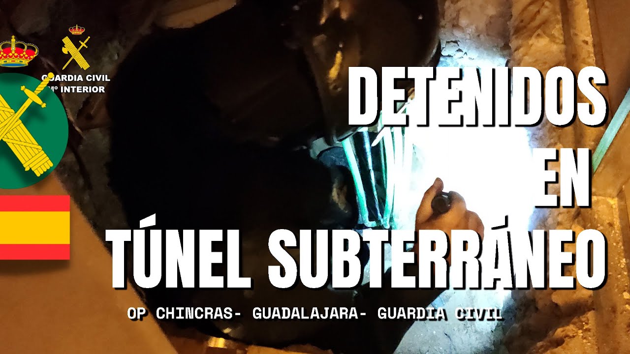 Detenidos por enganchar a la red eléctrica un cultivo de más de 9.000 plantas de marihuana