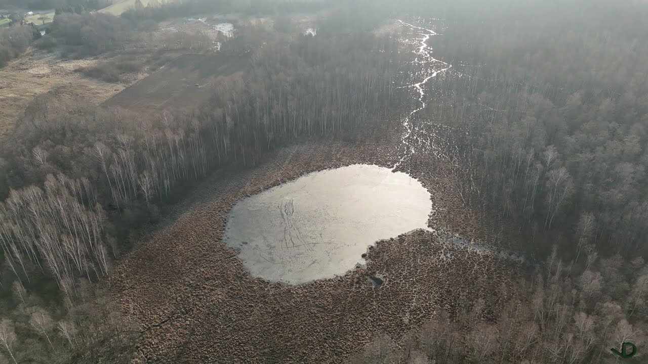 Gilužio, Striūpio, Limino ir Dėlinio ežerai, Utenos rajone