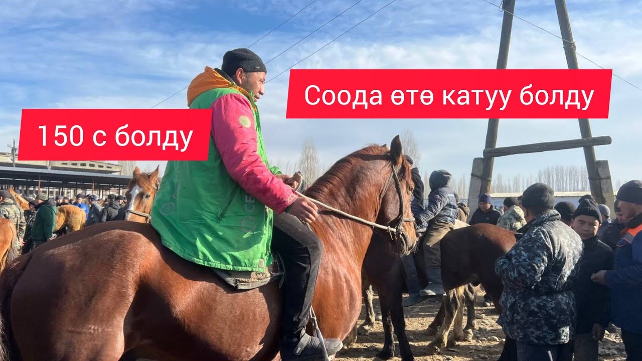 Аттын аты соода болду Ош учкун 150 сиңге 