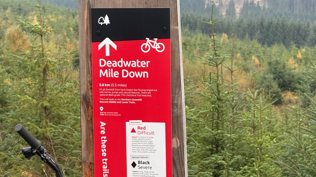 Kielder Mile down and black trails 