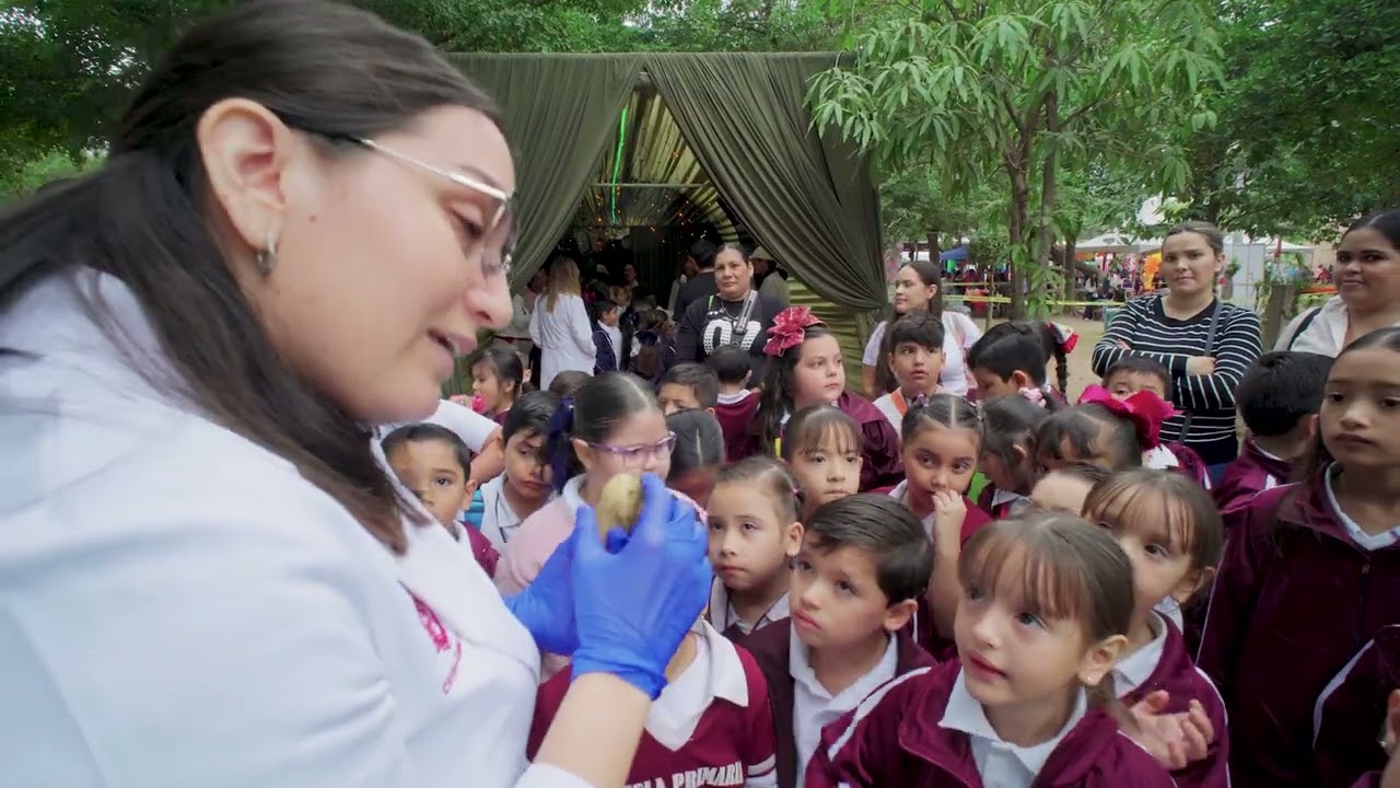 Vive la Ciencia 2026