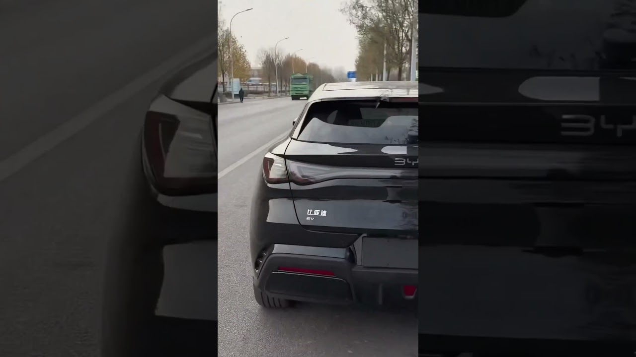 #byd