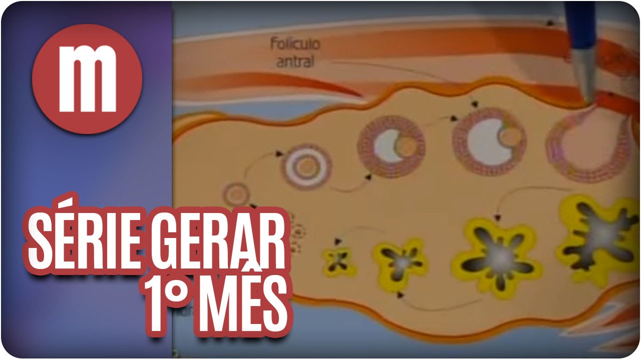 Série Gerar 1: O primeiro mês de gravidez - Mulheres