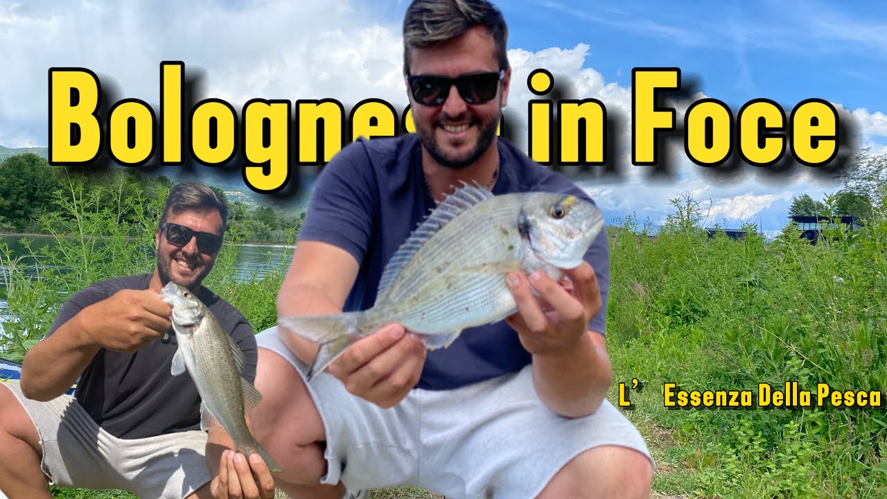 *BOLOGNESE IN FOCE* IN MAGRA ALLE ORATE E SPIGOLE