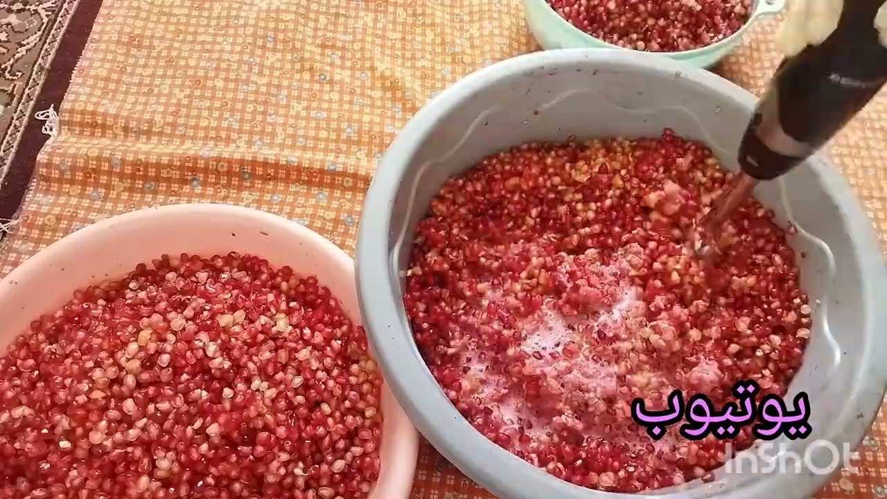 ۷ ژانویهٔ ۲۰۲۶