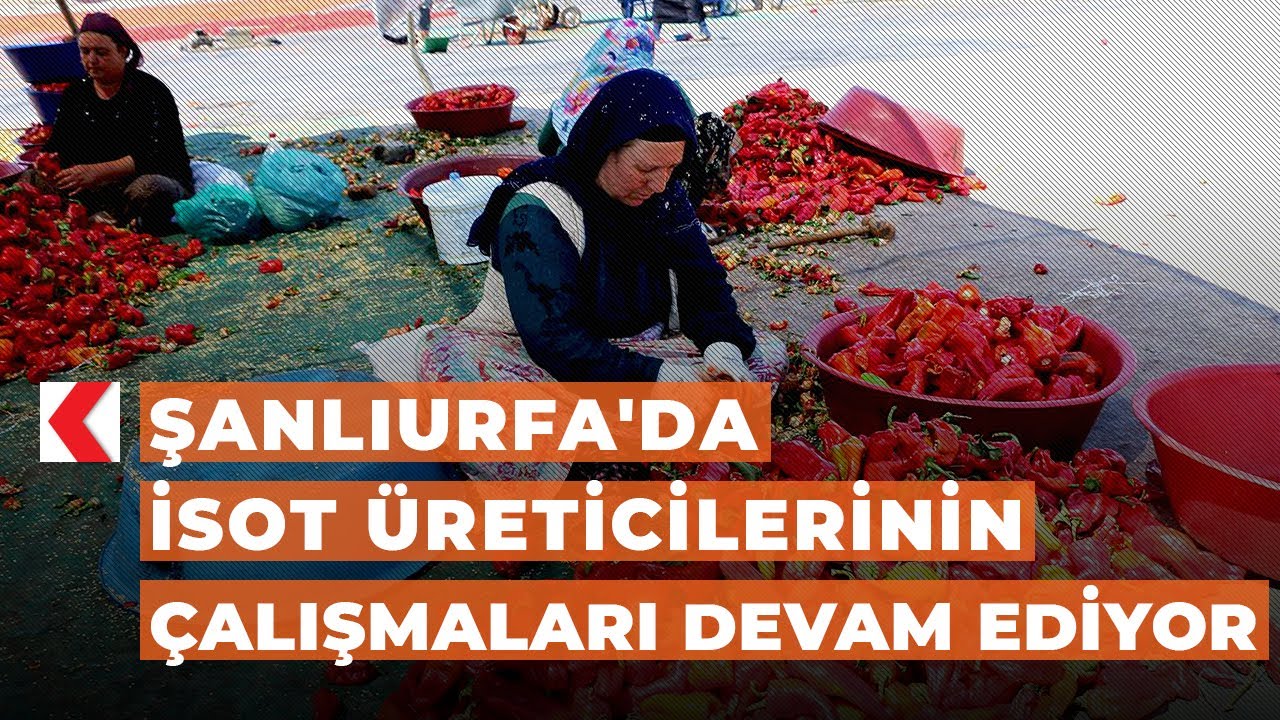 Şanlıurfa'da isot üreticilerinin çalışmaları devam ediyor