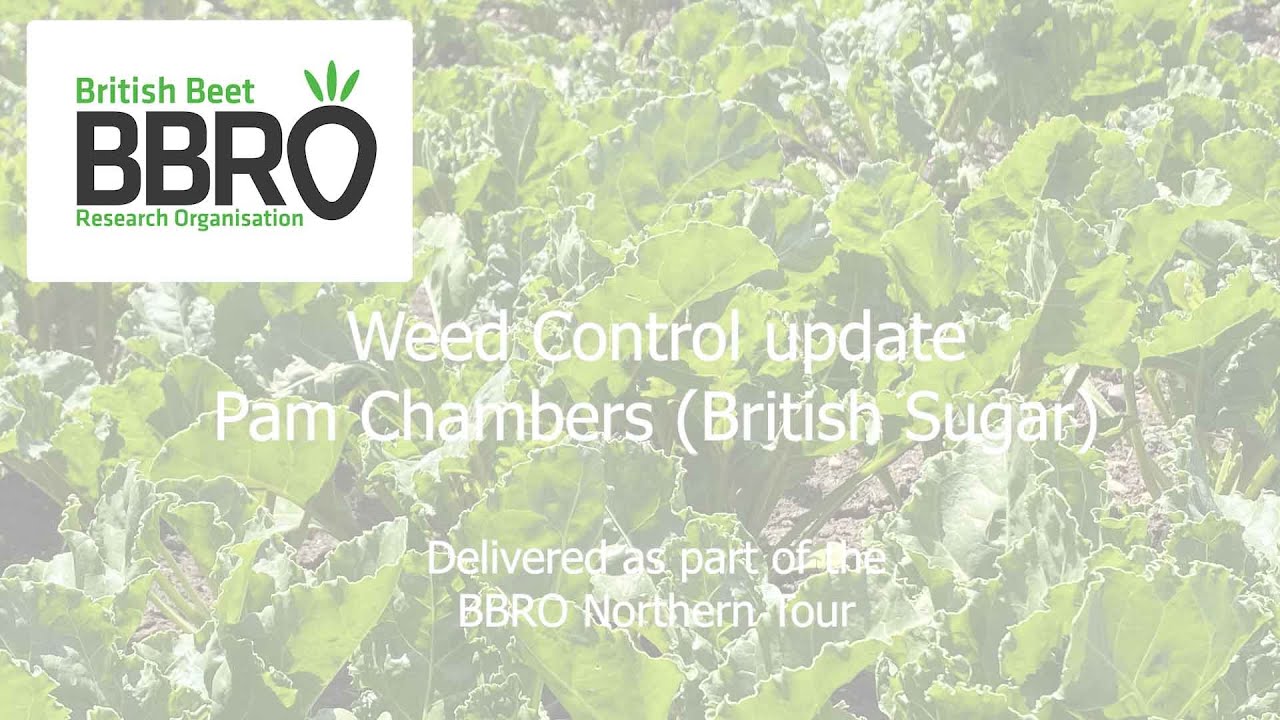 Northern Tour 2025 -weed control update