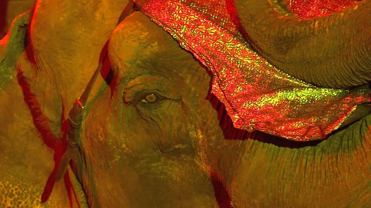 Premiere-Ausschnitt: Circus Busch - das Original