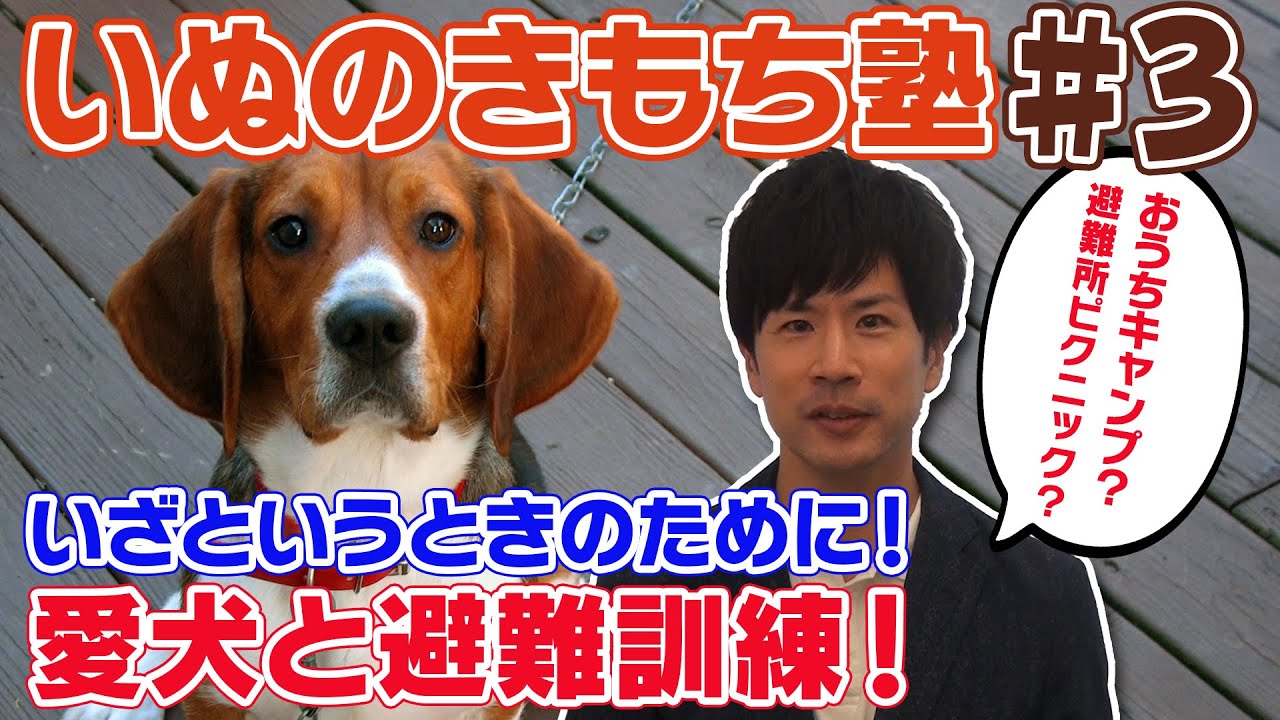 【犬の防災対策】いざというときのために！愛犬と避難訓練「いぬのきもち塾」第3回