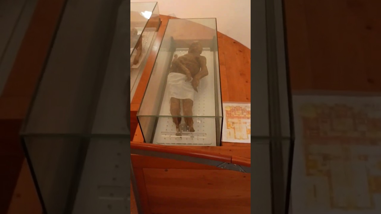 LE MUMMIE DI VENZONE #mummie #mummies #luoghidavisitare #venzone #udine #friuli #shorts