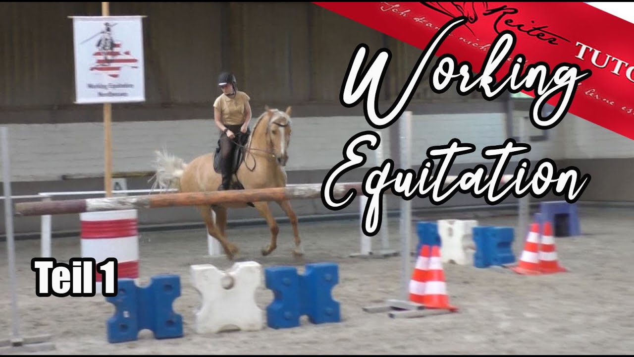 Working Equitation Lehrgang mit Mitja Hinzpeter Teil 1 // Reitertutorials
