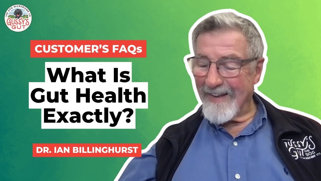 Why Your Dog’s Gut Health Matters More Than You Think | Gussy’s Gut