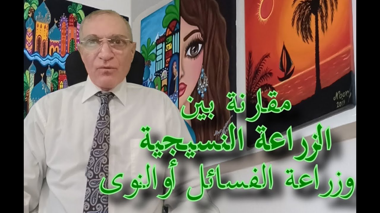 مقارنة بين فائدة زراعة النخيل النسيجي و الفسائل والتي تنمو من النوى بإسلوب علمي