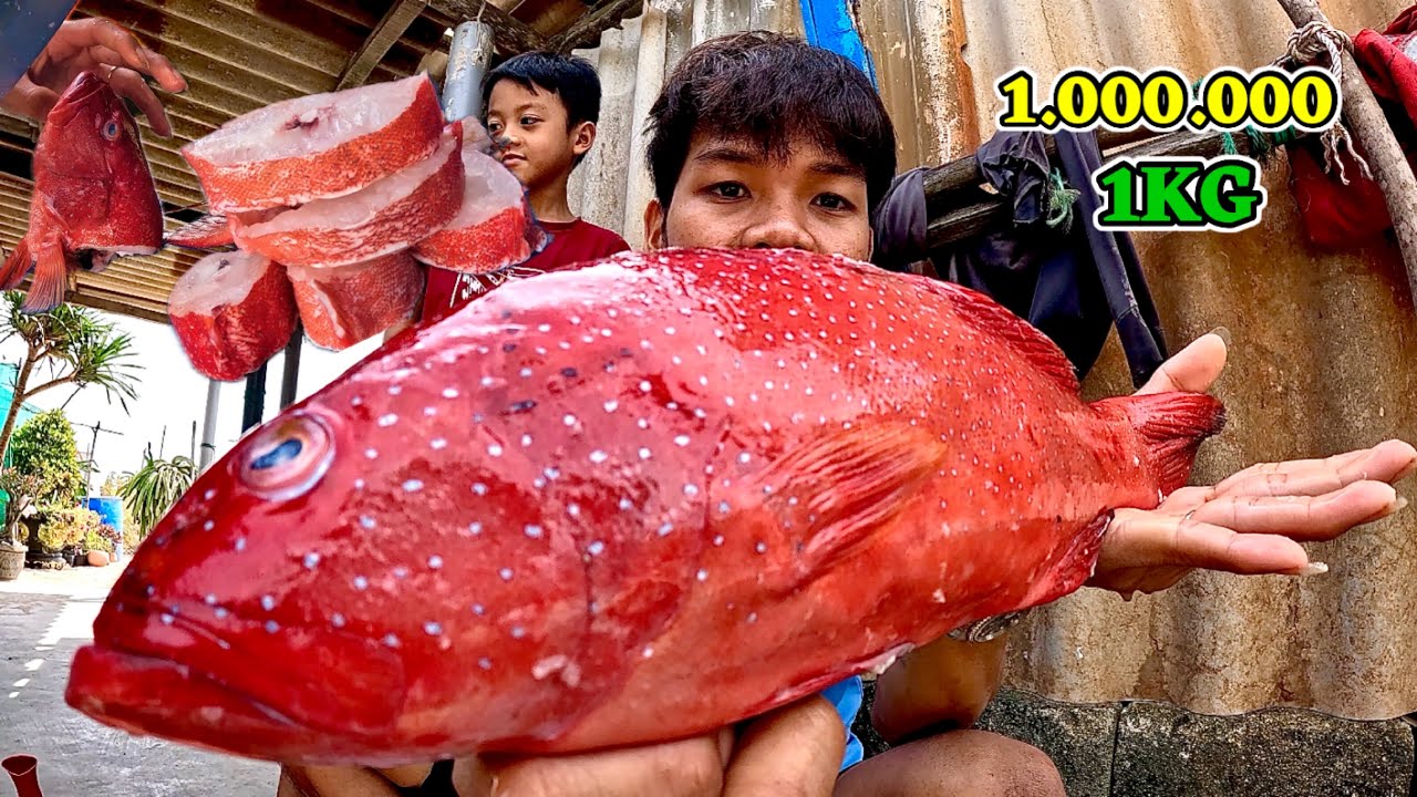 Thịt Một Con Cá Mú Đỏ Giá Trị 1 triệu 1kg Với Món Ăn Cực Đơn Giản