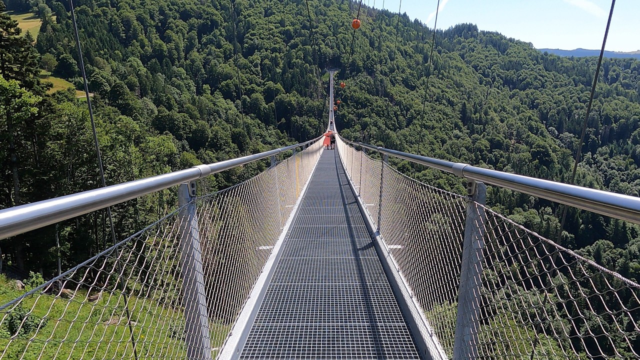 Todtnau Waterfall Hike & Bridge | Black Forest Nature Adventure 🌲
