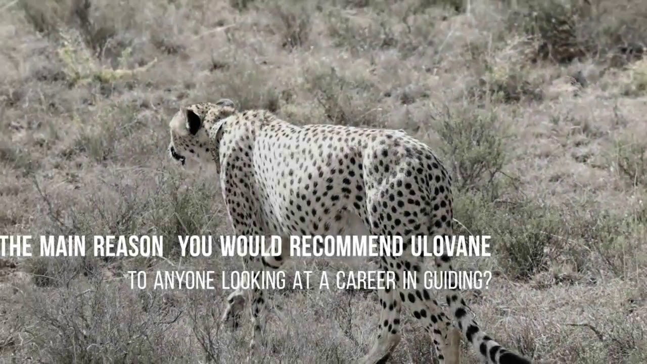 Ulovane Alumni: Adriaan Buitendach