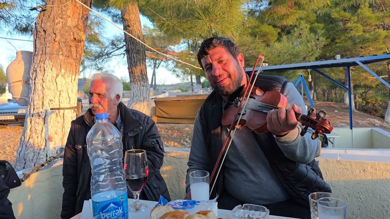 YUGAN ŞAHİN - GÜLNAR KAZASININ GORUCUK YOLUNDA - DUT AGACI