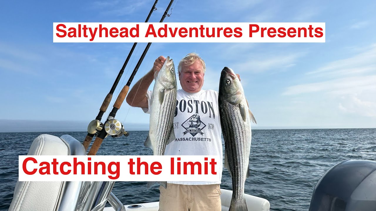 Catching the Limit with Saltyhead