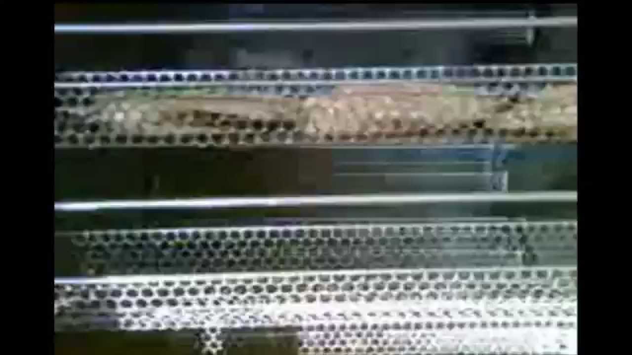 CORN ROASTER