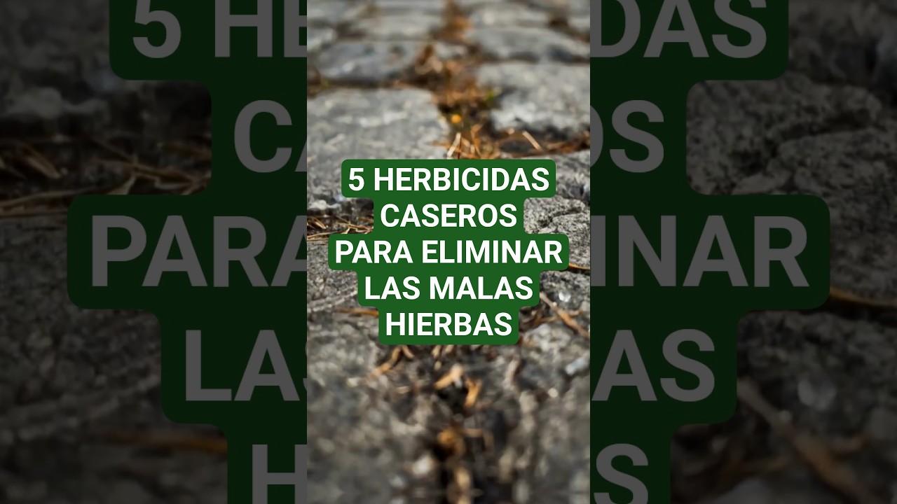 5 HERBICIDAS CASEROS PARA ELIMINAR LAS MALAS HIERBAS SIN QU&Iacute;MICOS
