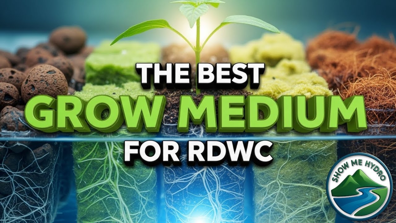 The Best Grow Medium For RDWC
