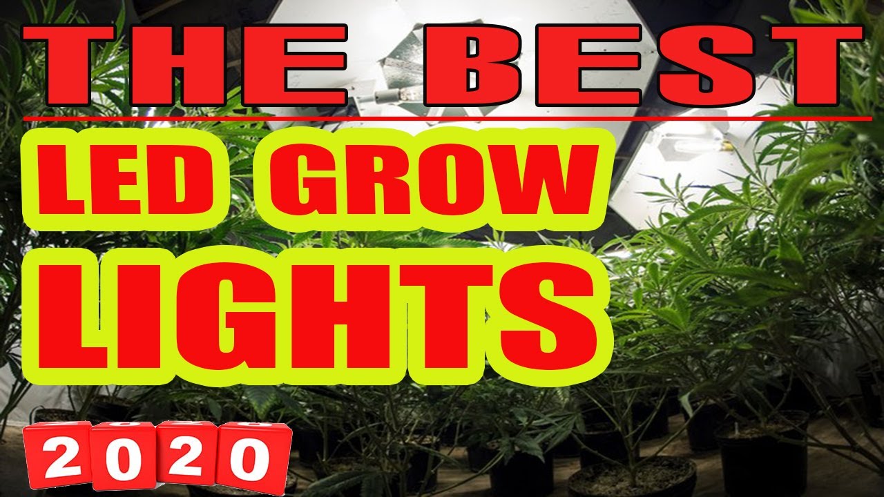 ✅ TOP 6: Best LED Grow Lights 2020