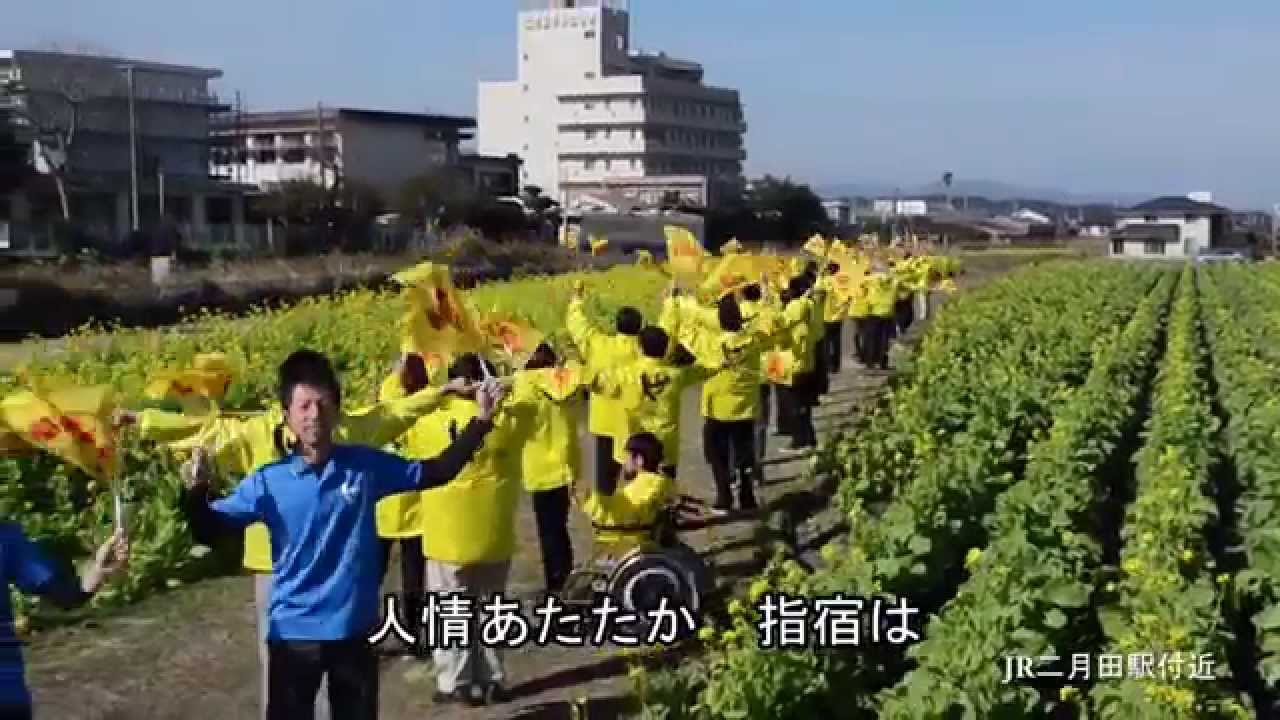 指宿市民歌「希望あらたに」　アロハバージョン