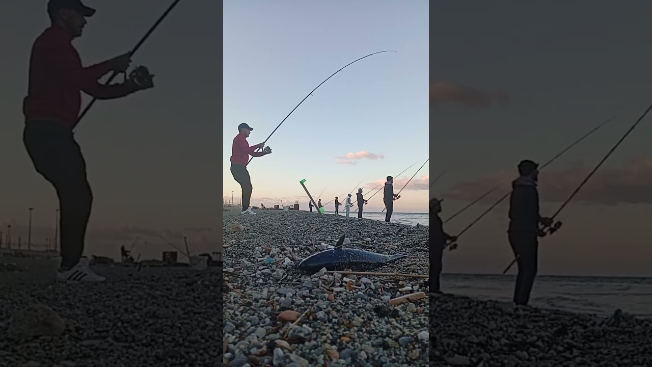 #pesca #pescasportiva #pescatori #pescefresco #pescato #pesceappenaagganciato #adrenalinapura #tonno
