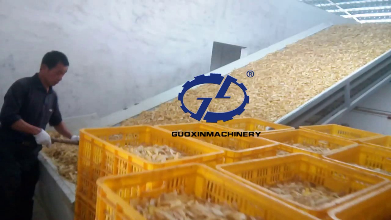 How to dry ginger?garlic?onion?and turmeric?one set drying machine can handle all of these material