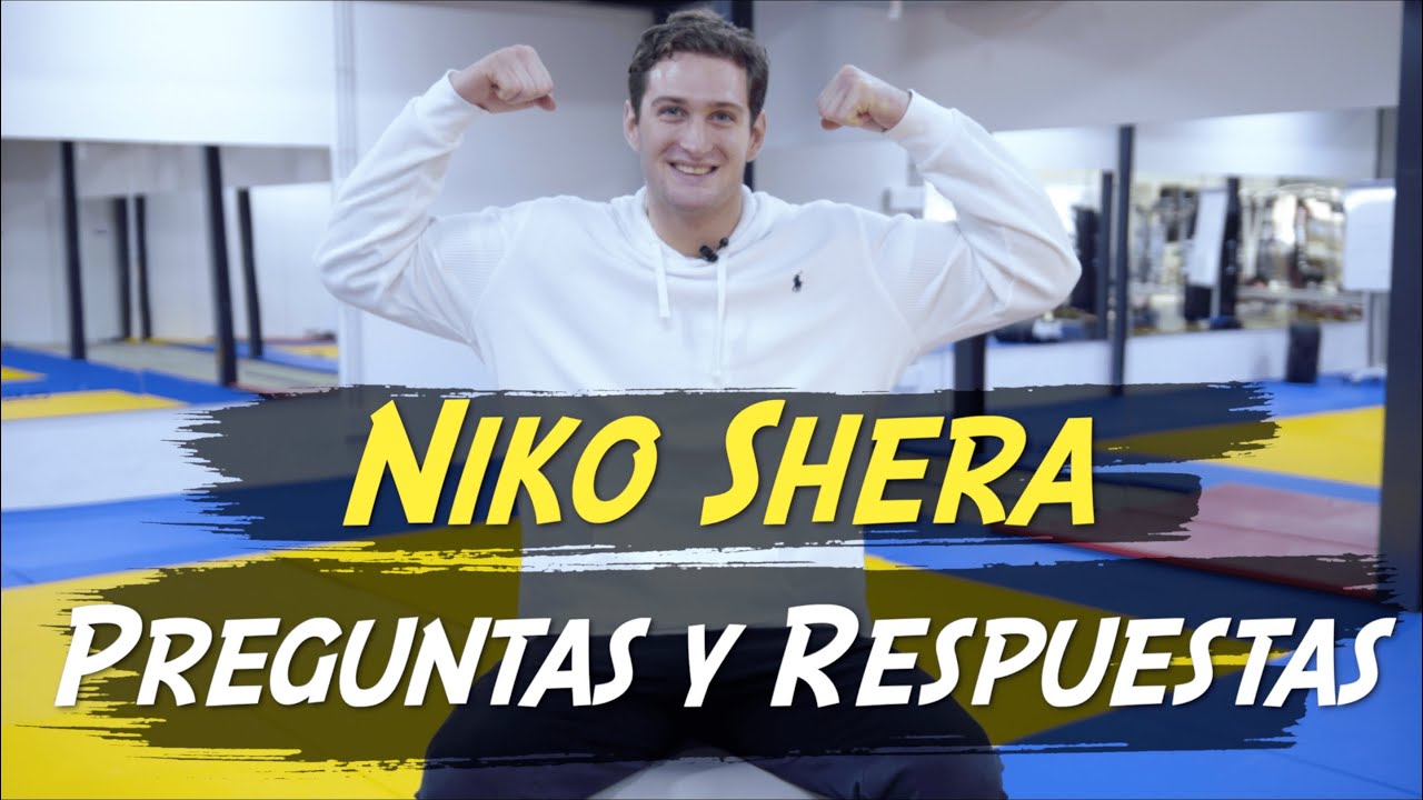 PREGUNTAS Y RESPUESTAS #1 | Niko : 