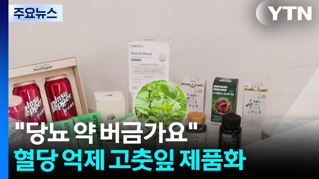 [녹색] 