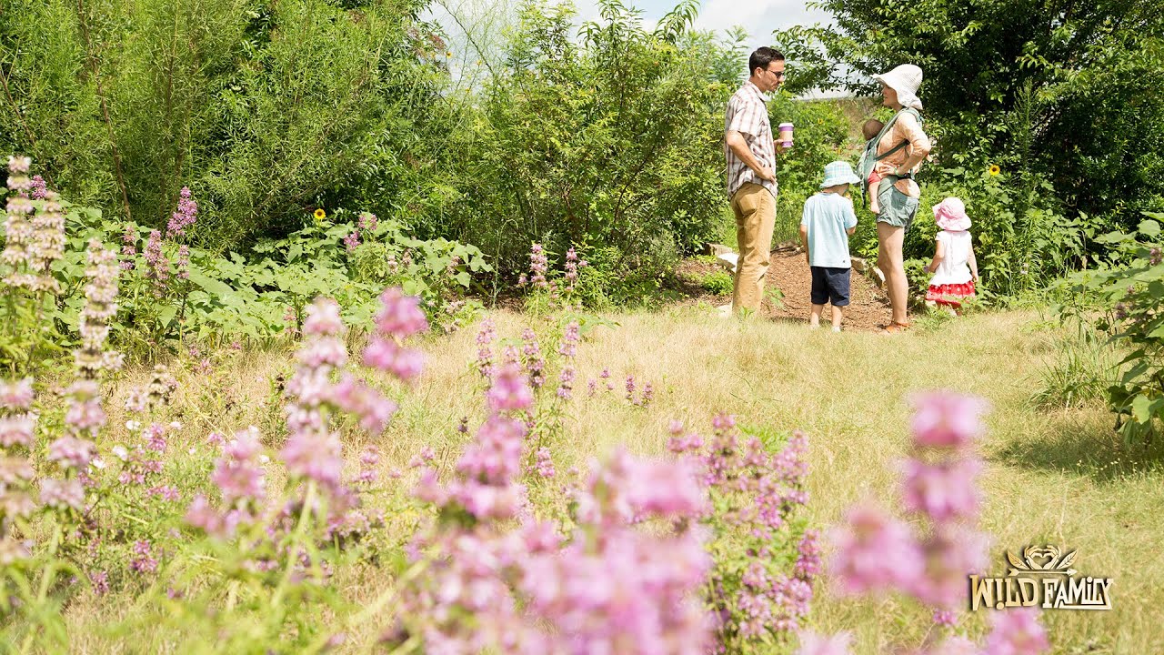 Whole Life Learning - Story of A Trailblazing Austin School