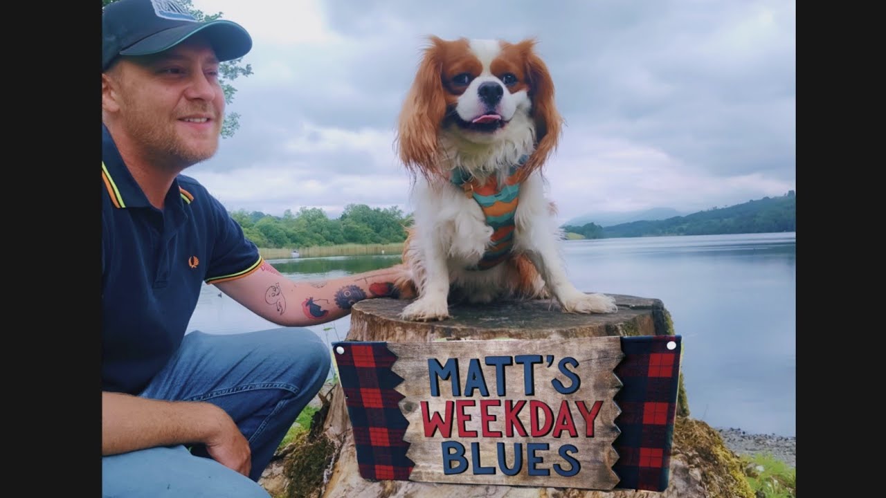 MatthewJago is live playing unplugged acoustic songs with my friends 🎵 🛋 🐕 🐒 🎉 💚🏡