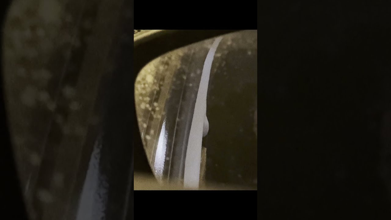 tsotsi - poison (music video)