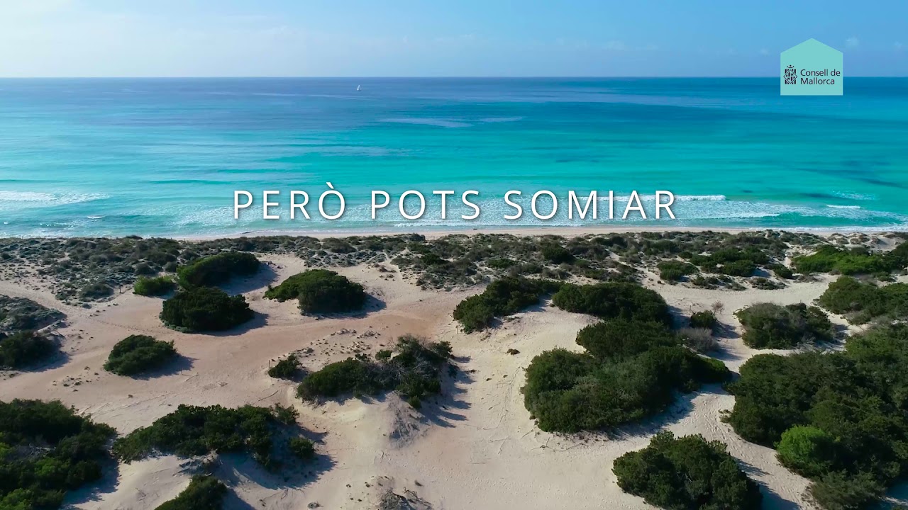 No pots viatjar Per&ograve; pots somiar